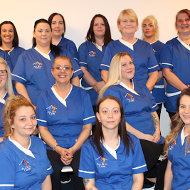 roles in home care sector roles in home care sector